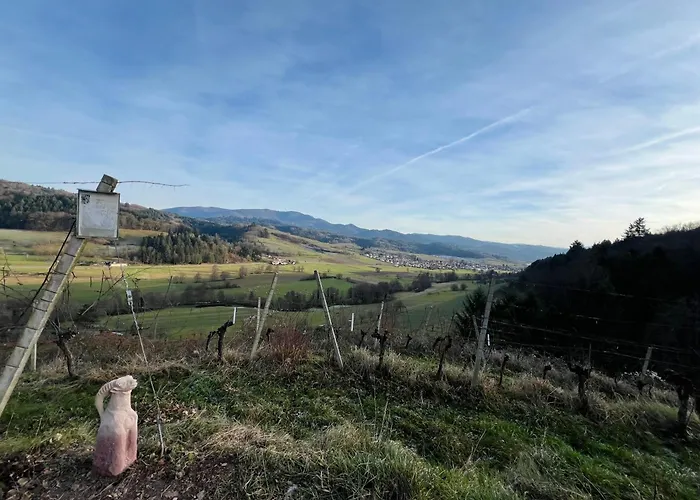 Nyaraló Zuhause Auf Zeit Sexau